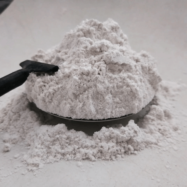 Diatomaceous Earth