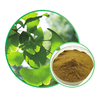 Ginkgo Biloba Extract CP2015