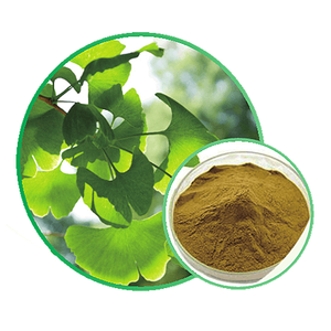 Ginkgo Biloba Extract CP2015