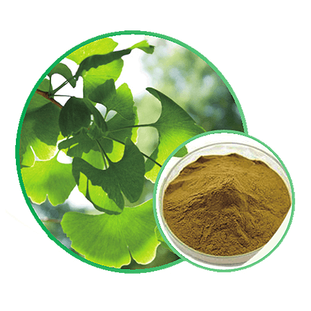 Ginkgo Biloba Extract CP2015
